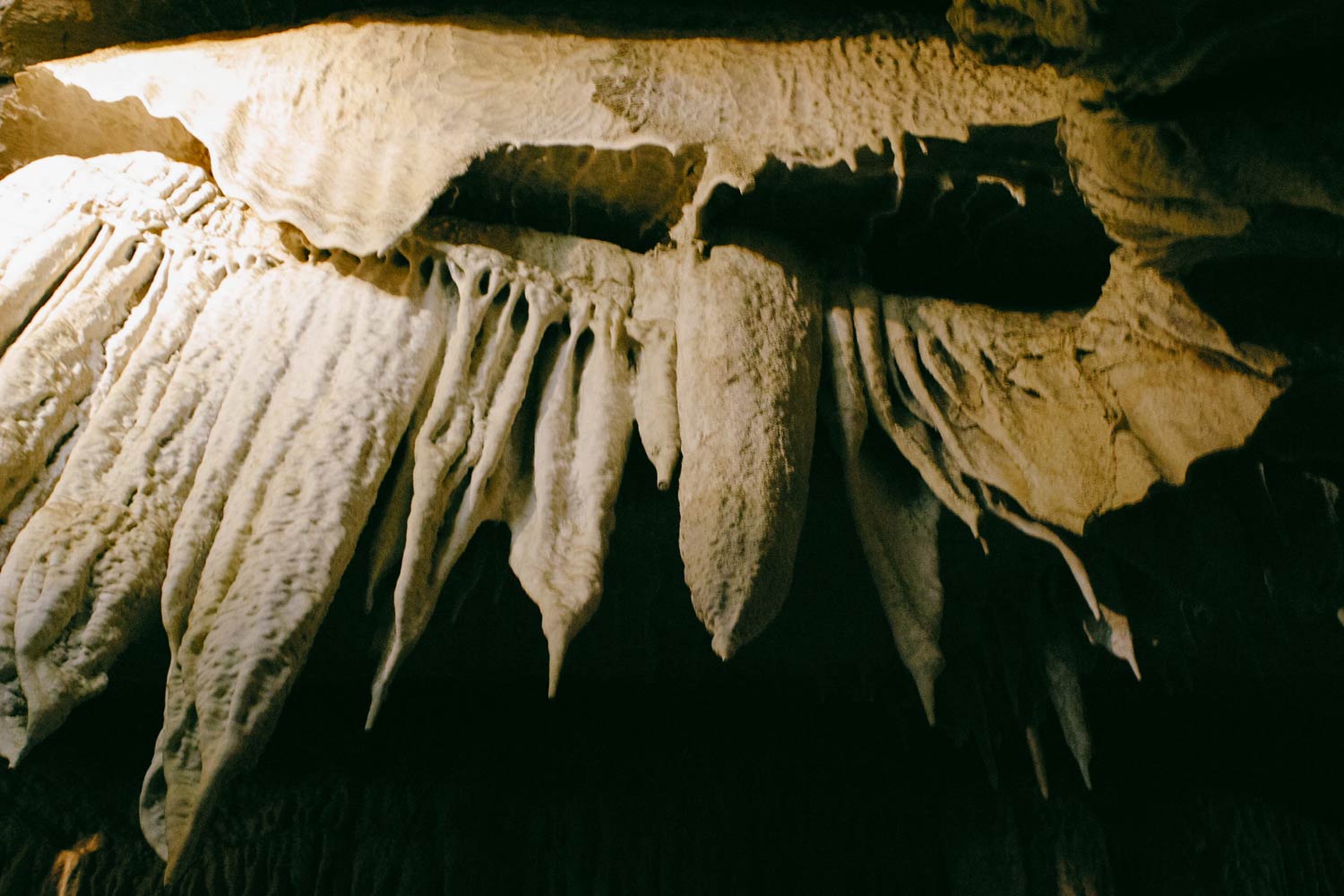Hanging stalactites in Kings Canyon's Boyden Cavern